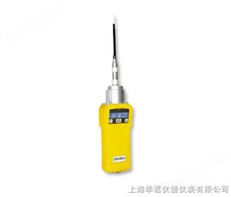RAE特种VOC检测仪PGM-7200