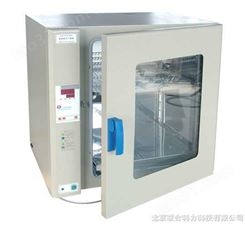 热空气消毒箱GR-246