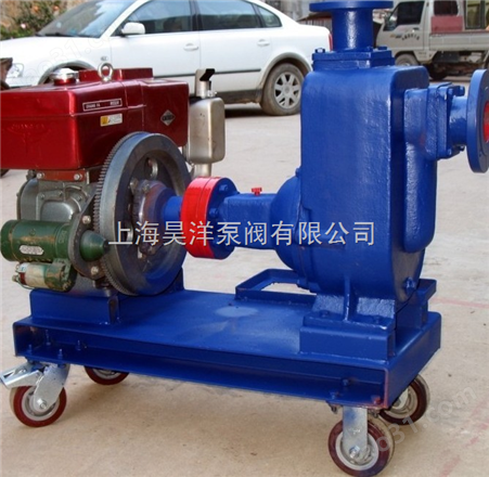 CJ型柴油机自吸水泵/ZWC型柴油机式自吸排污泵
